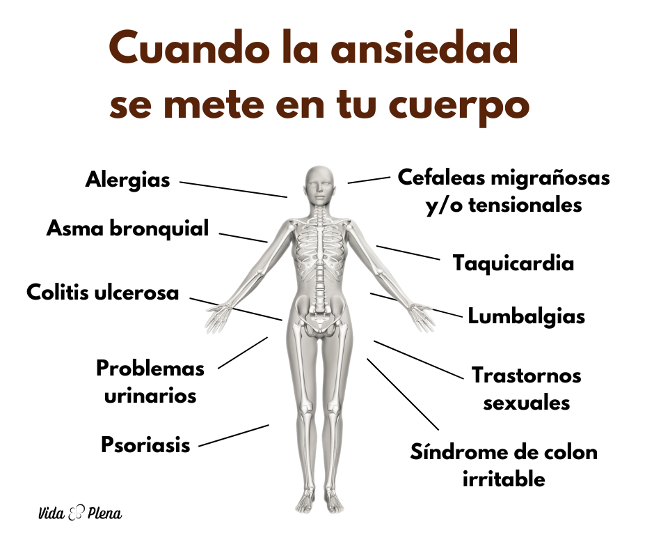 las enfermedades psicosomáticas presentados en una infografia